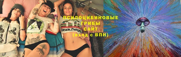 Альфа ПВП Арсеньев