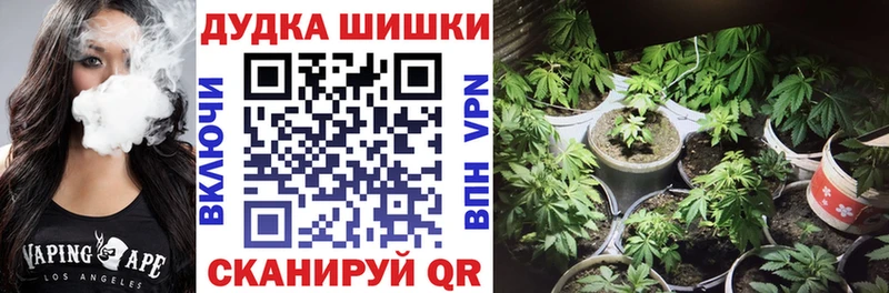 Бошки Шишки MAZAR Порхов